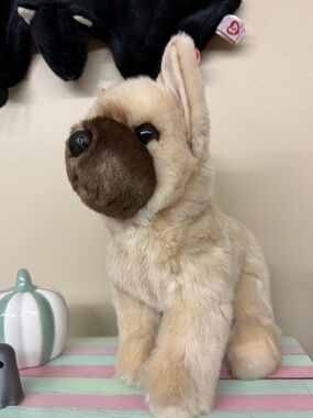 Douglas French Bulldog